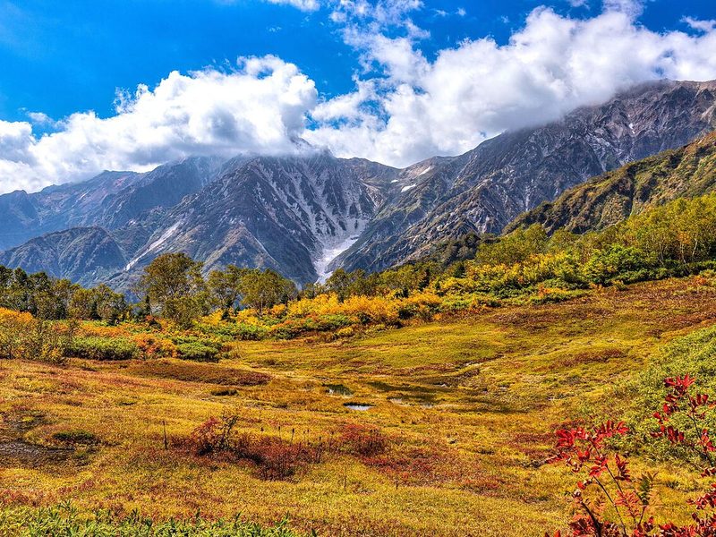 Autumn colours in Tsugaike Nature Park below the Hakuba mountains