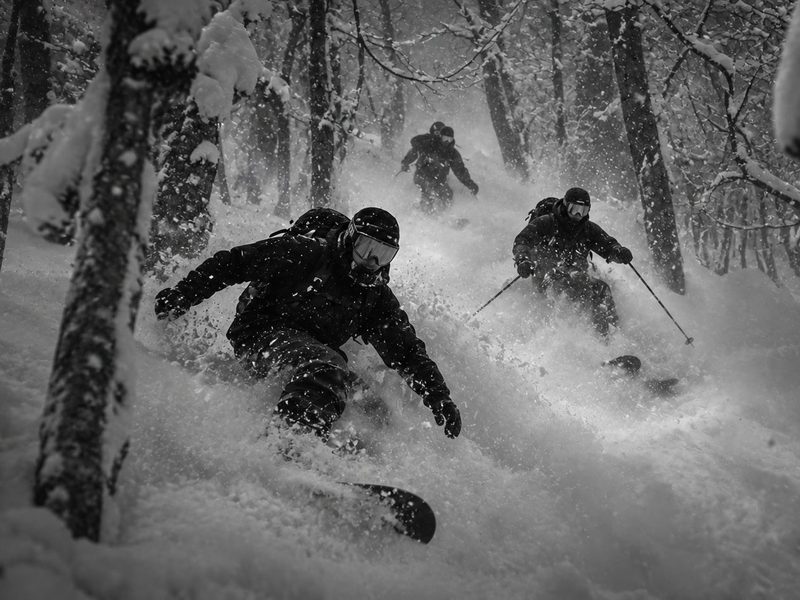 Skiers riding deep powder between snow-covered trees